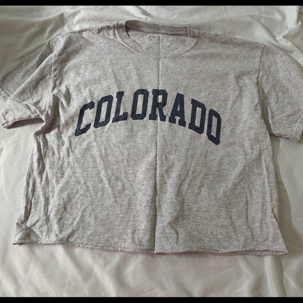 brandy melville cropped t-shirt